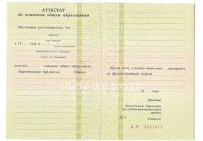 Аттестат за 9 класс 1995-2006 в Домодедово