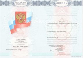 Диплом техникума 2007-2010 в Домодедово