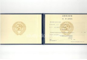 Диплом техникума ссср старого образца в Домодедово